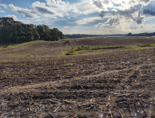 15,30 ha na Linha Palmeiro, Farroupilha - frente para Rod Vicinal Mato Perso a 2 km da ERS 122